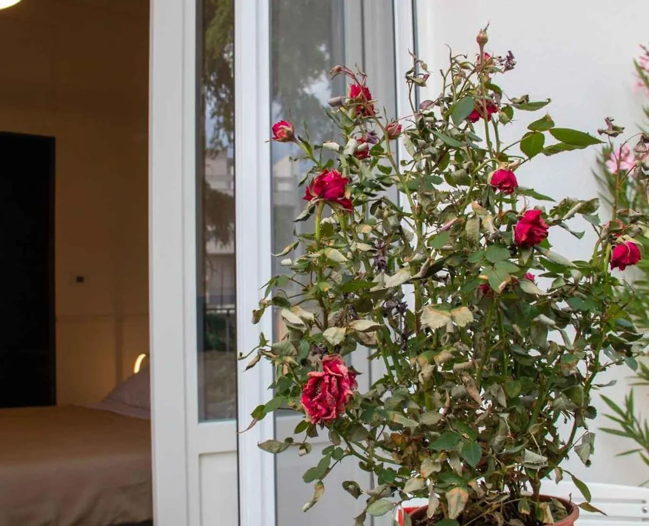 Mari Luxury Rooms And Suites Bari Vendégház