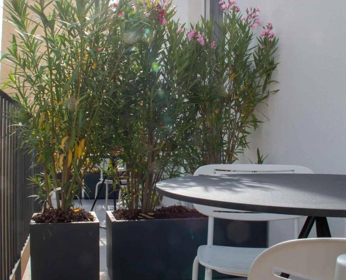 Mari Luxury Rooms And Suites Bari Vendégház